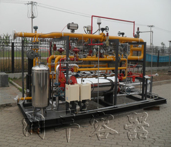 LNG气化站工程设备图片3